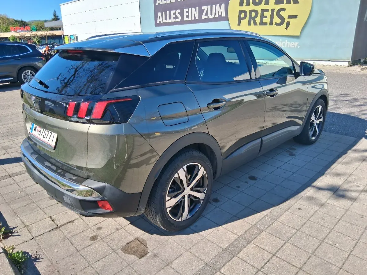 Peugeot 3008 2019 photo 3