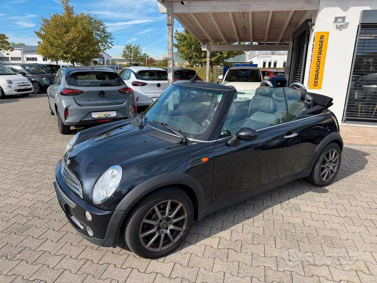 Mini Mini 2007 photo 2