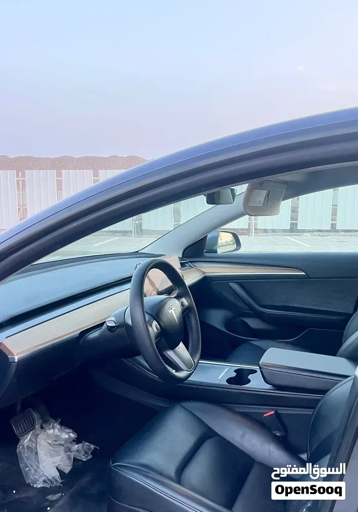 Tesla Model 3 2023 photo 3