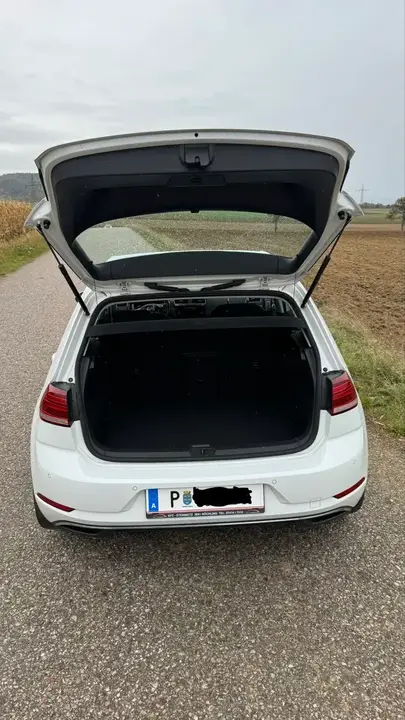 Volkswagen Golf Rabbit 2019 photo 3