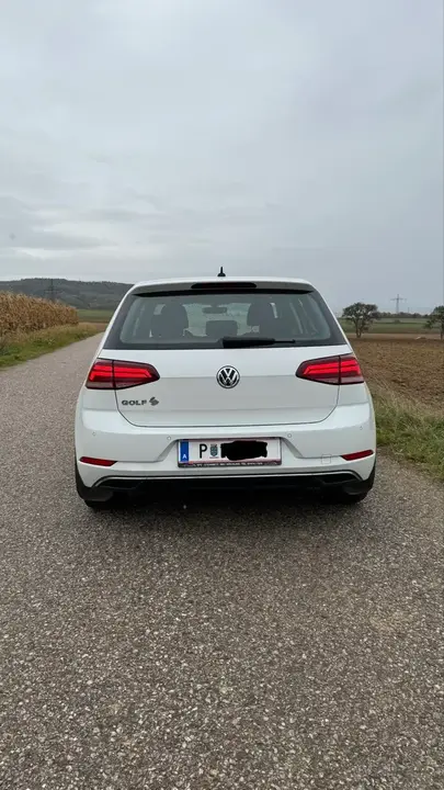 Volkswagen Golf Rabbit 2019 photo 2
