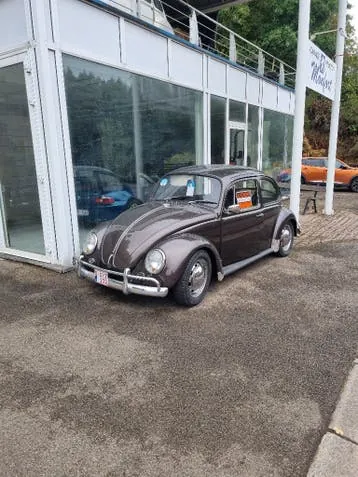 Volkswagen Cox
