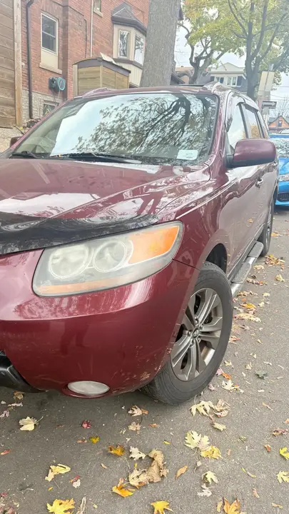 Hyundai Santa Fe 2007 photo 2