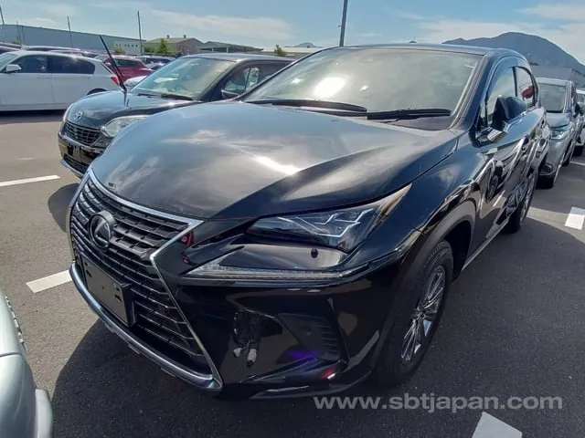 Lexus Nx 2021 photo 2