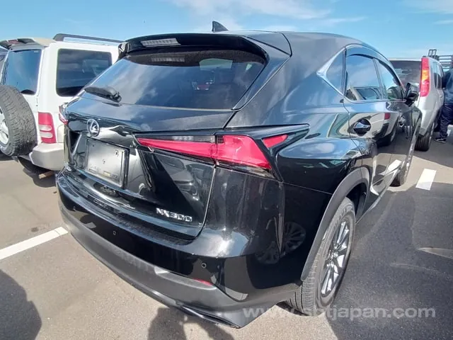 Lexus Nx 2021 photo 4
