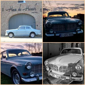 Volvo Amazon