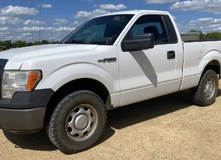 Ford F-150 2010 photo 3
