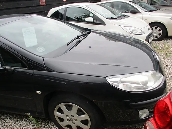 Peugeot 407 2007 photo 3