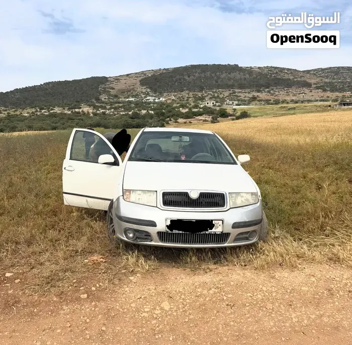 Skoda Fabia 2007 photo 5