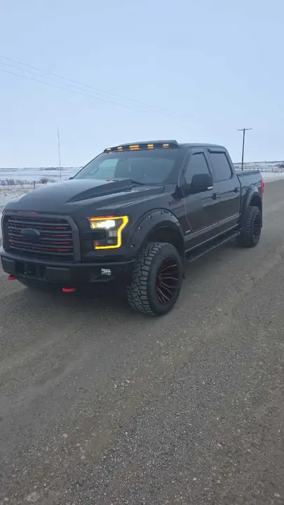 Ford F-150 2016 photo 3
