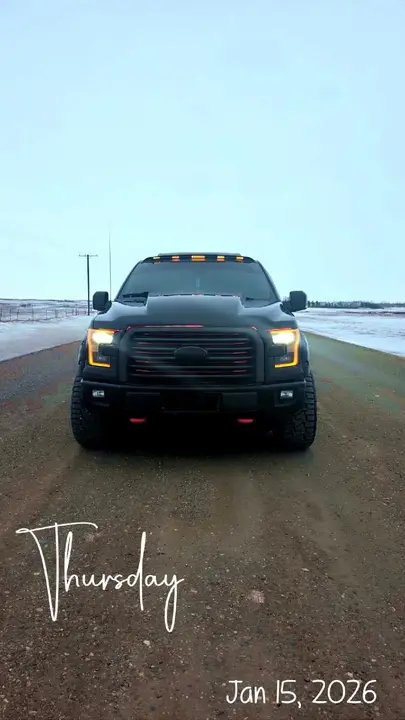 Ford F-150 2016 photo 4