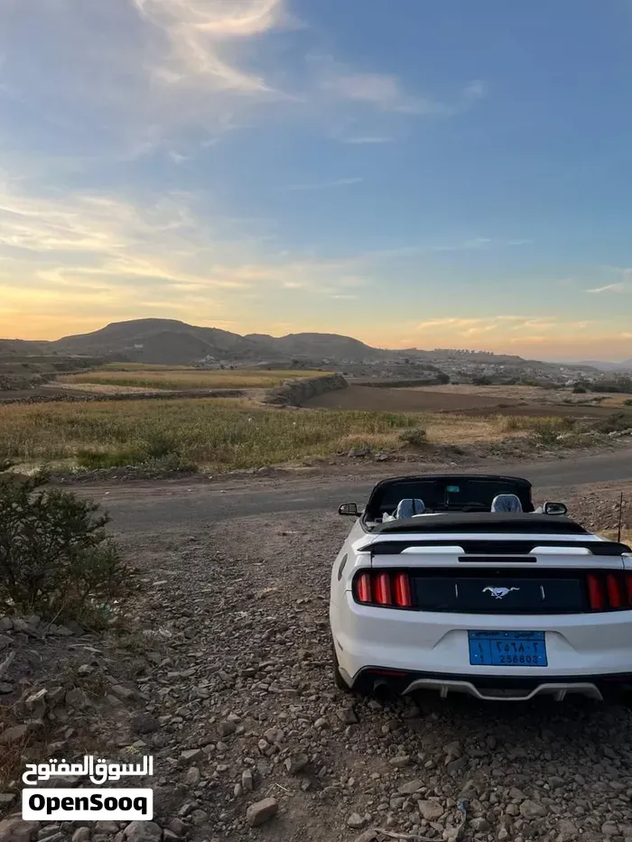 Ford Mustang 2017 photo 2