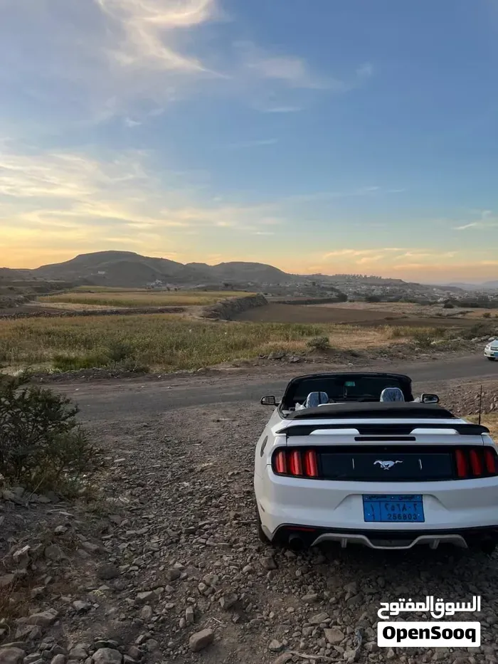 Ford Mustang 2017 photo 3