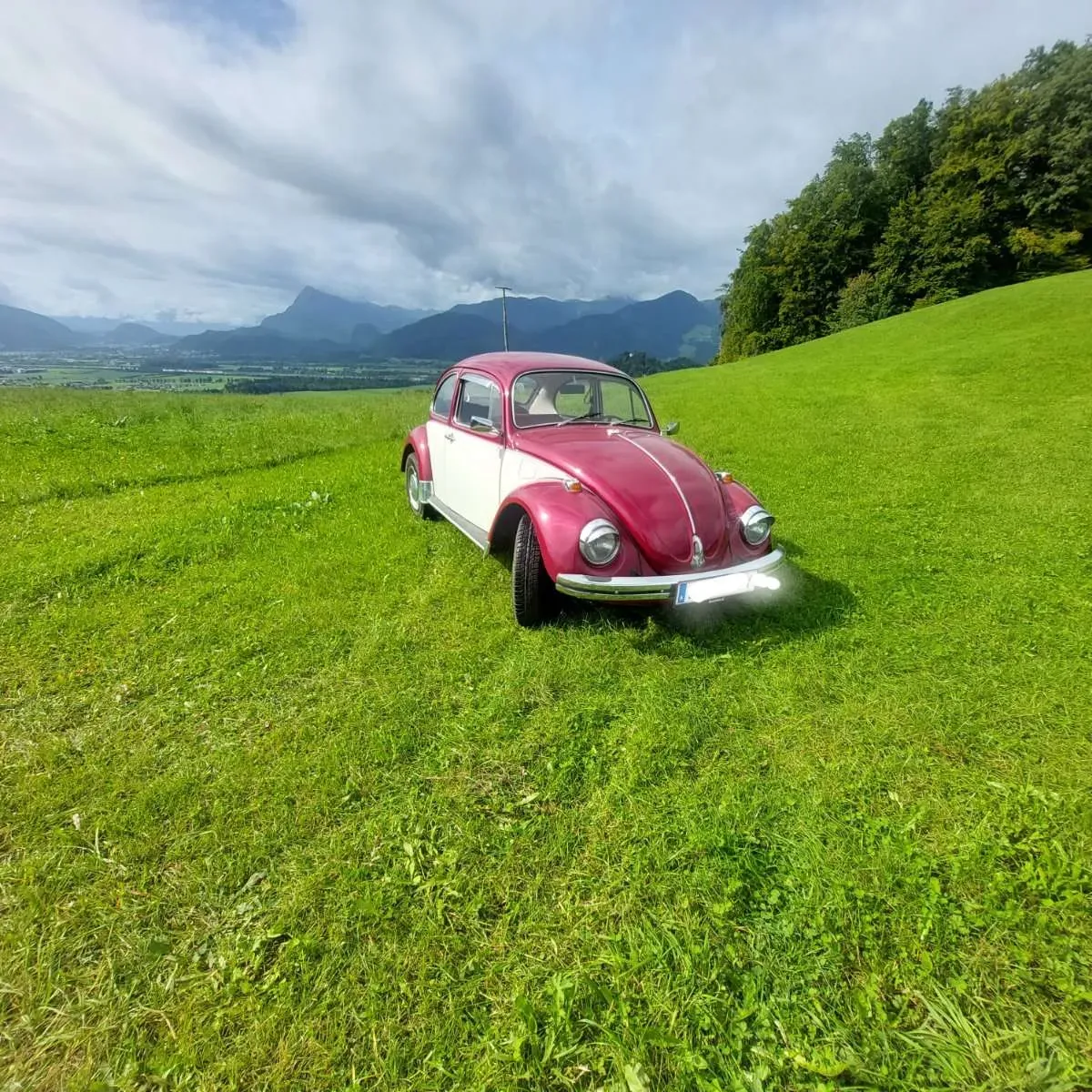 Volkswagen Käfer