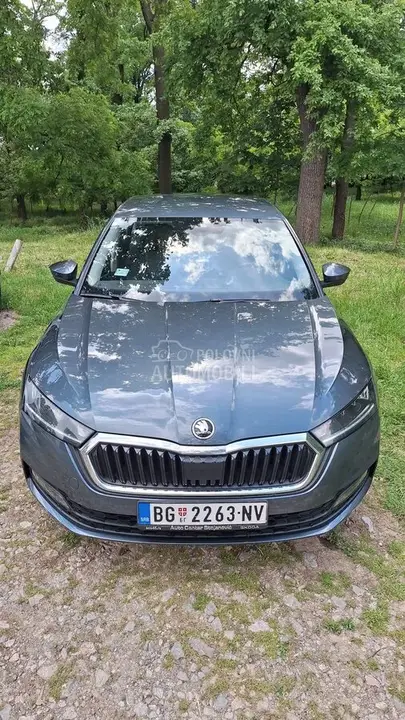 Skoda Octavia 2021 photo 2