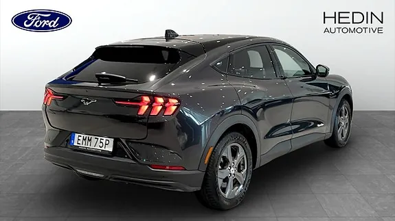 Ford Mustang Mach-E 2021 photo 2