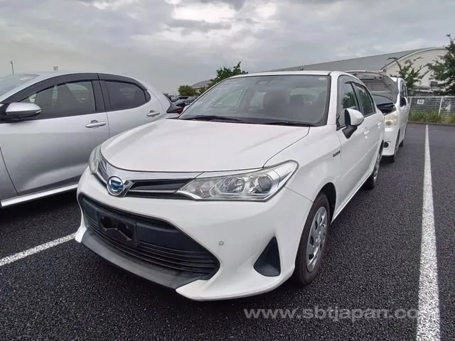 Toyota Corolla Axio 2019 photo 2