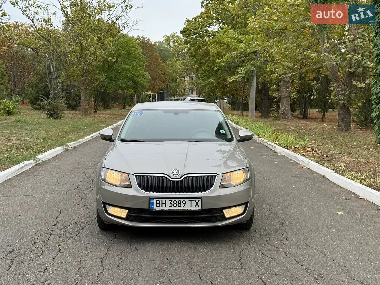 Skoda Octavia 2013 photo 2