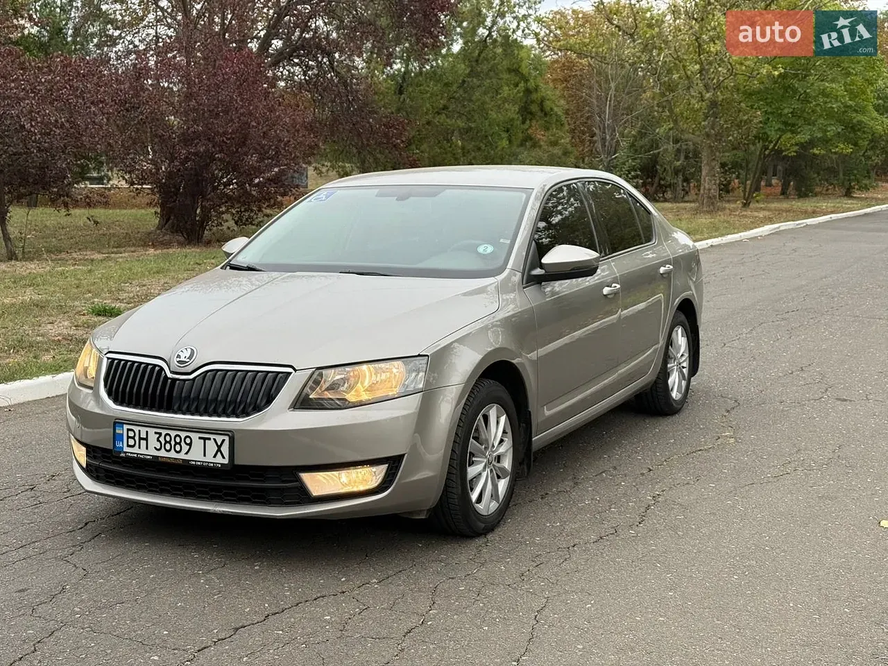 Skoda Octavia 2013 photo 3