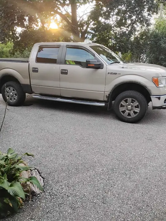 Ford F-150 2010 photo 3