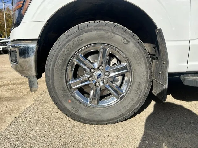 Ford F-150 2025 photo 3