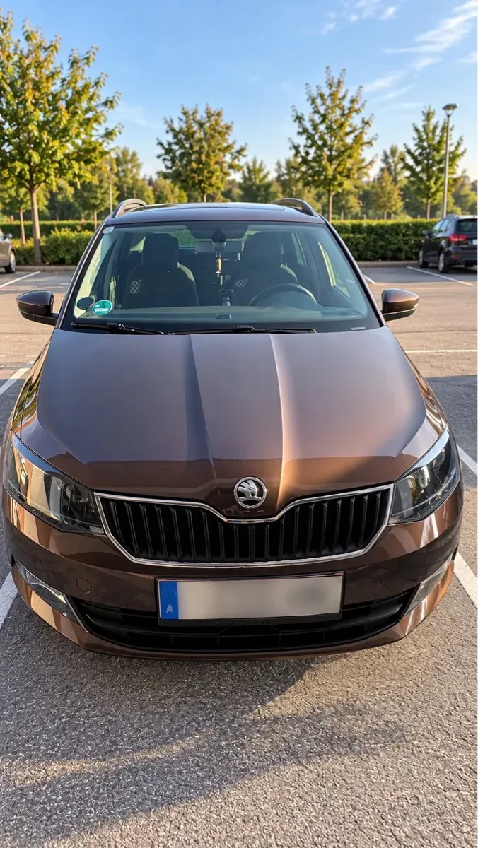 Skoda Fabia 2015 photo 2