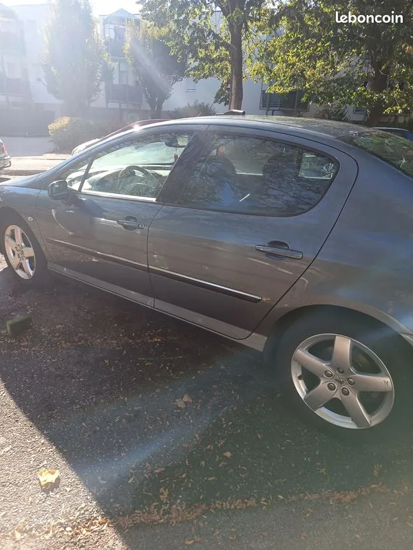 Peugeot 407 2005 photo 2