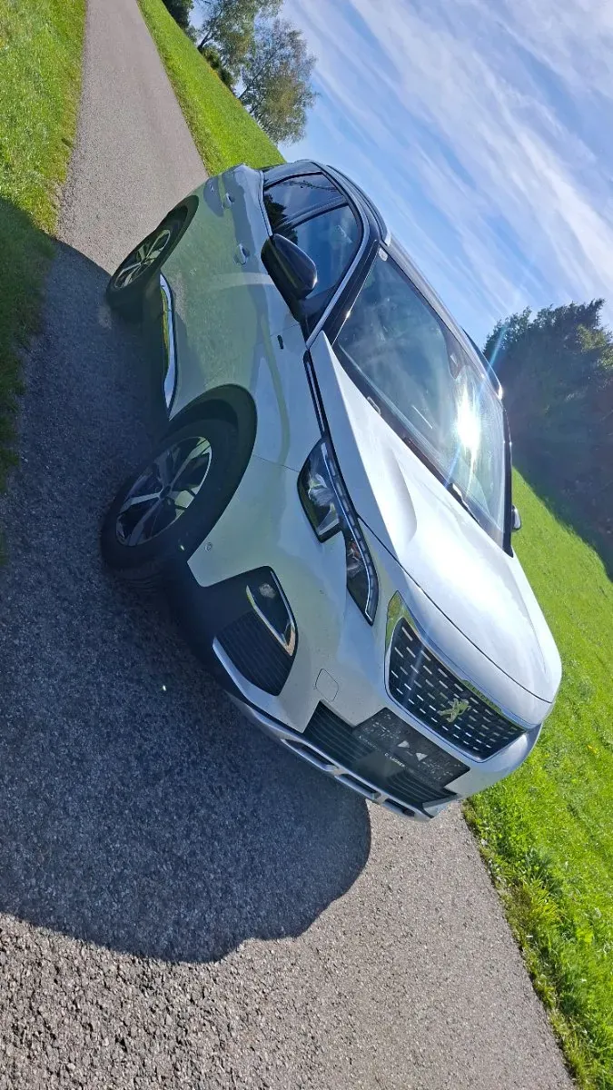 Peugeot 3008 2020 photo 2
