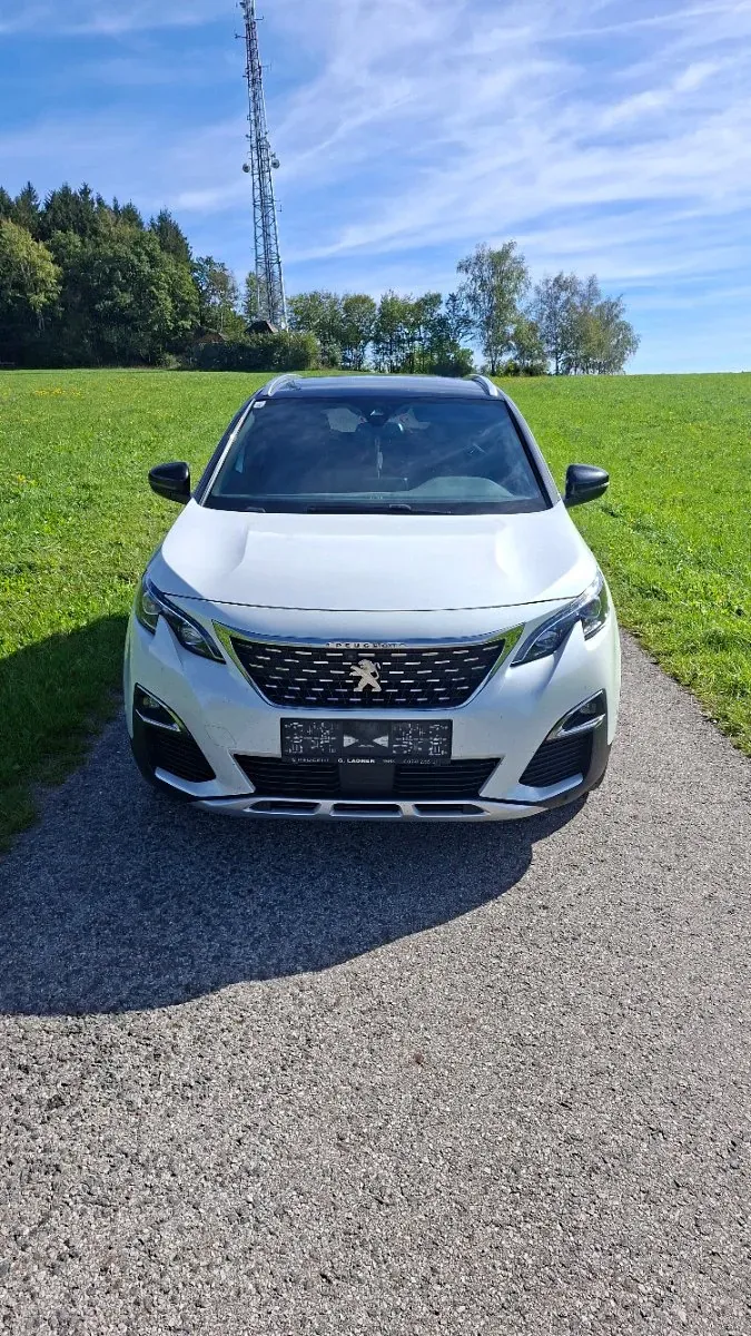 Peugeot 3008 2020 photo 3