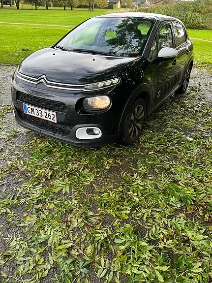 Citroen C3 2018 photo 2