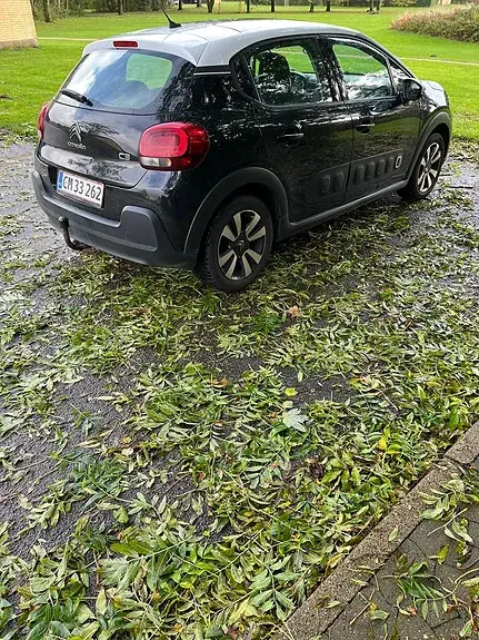 Citroen C3 2018 photo 3