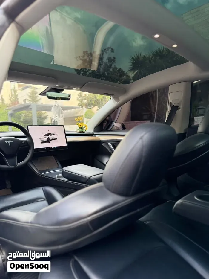 Tesla Model 3 2022 photo 3