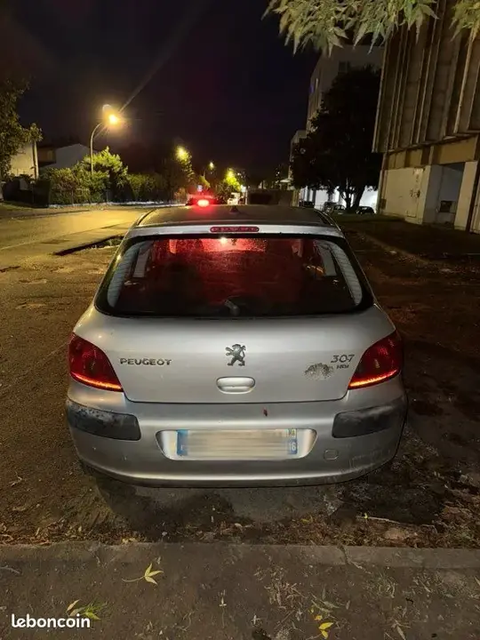 Peugeot 307 2004 photo 2