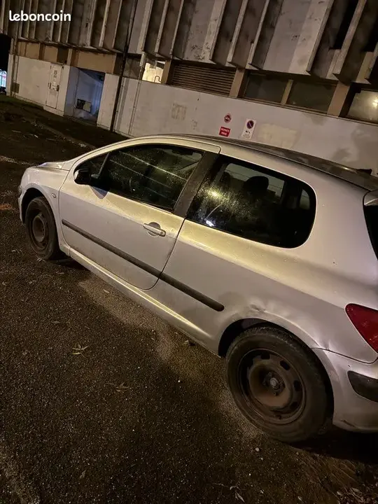 Peugeot 307 2004 photo 3