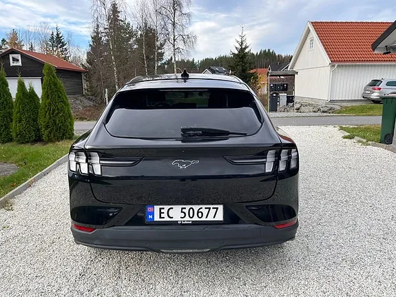 Ford Mustang Mach-E 2021 photo 4