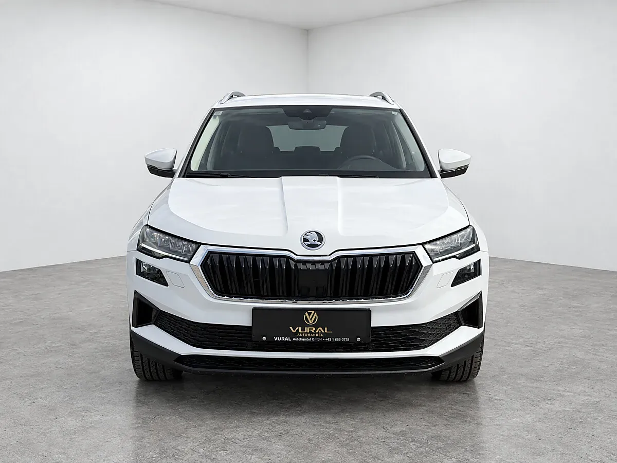 Skoda Karoq 2022 photo 3