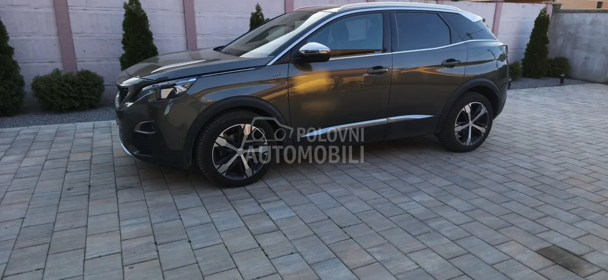 Peugeot 3008 2019 photo 3