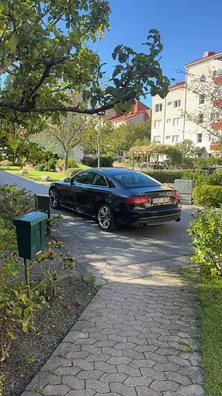 Audi S5 2010 photo 5