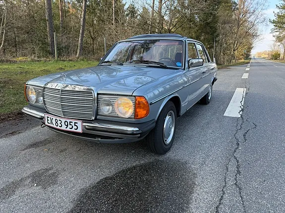Mercedes-Benz 230 E 1981 photo 2