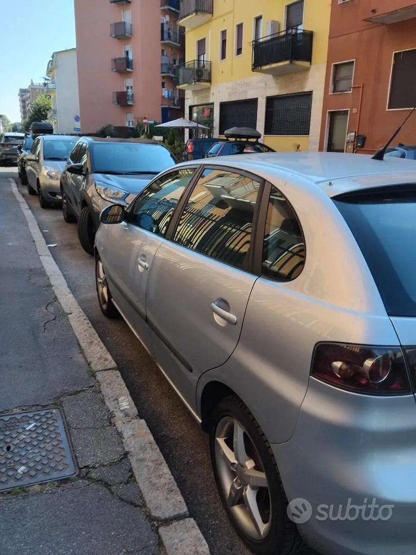Seat Ibiza 2006 photo 2