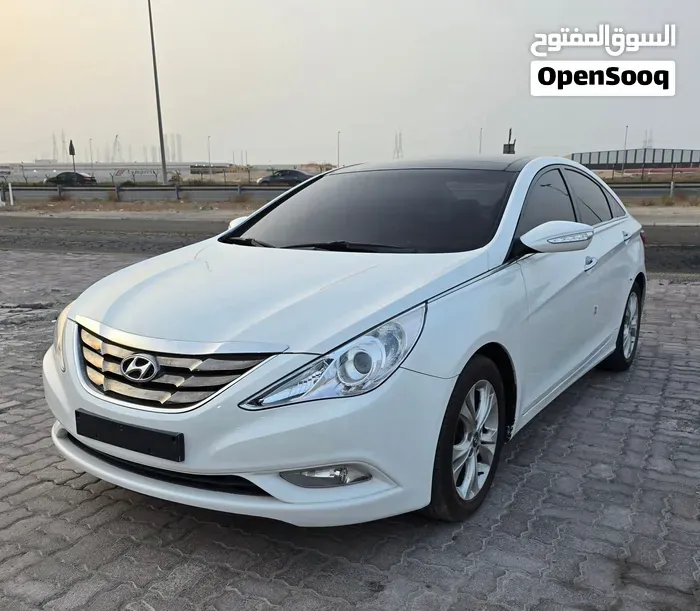 Hyundai Sonata 2010 photo 2