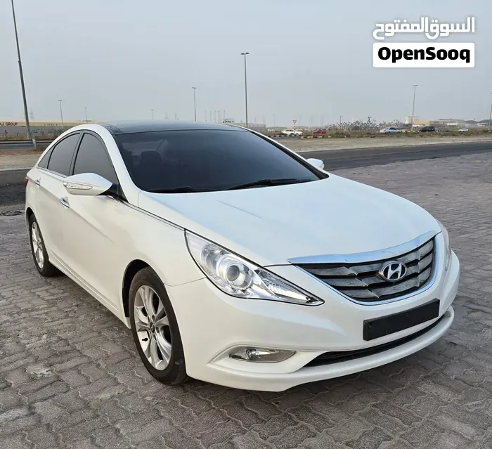 Hyundai Sonata 2010 photo 3