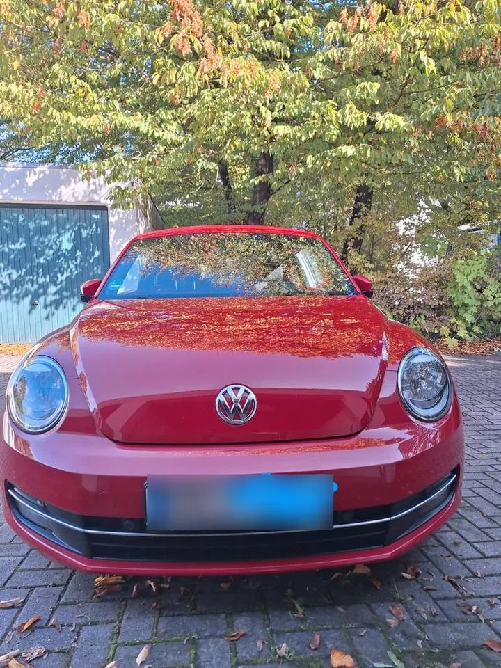 Volkswagen Beetle
