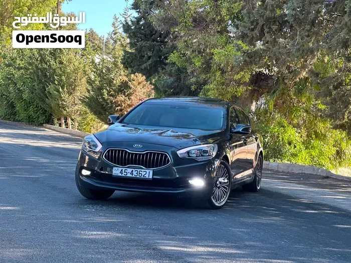 Kia Quoris 2014 photo 2