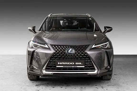 Lexus Ux300E 2021 photo 3