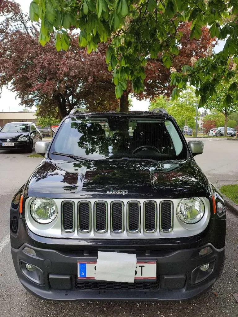 Jeep Renegade 2015 photo 2
