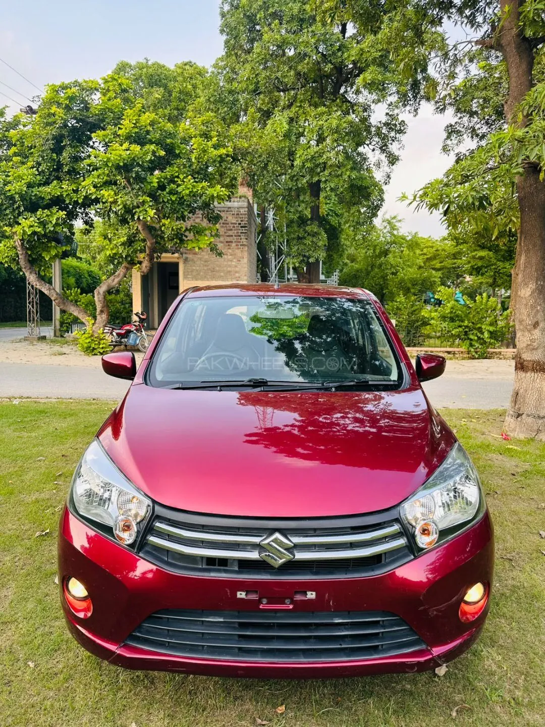 Suzuki Cultus