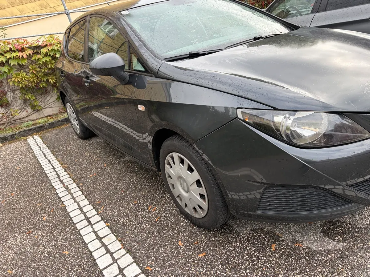 Seat Ibiza 2008 photo 2