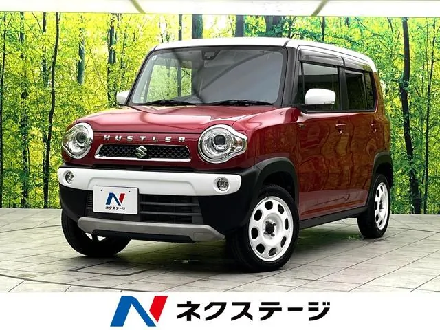 Suzuki Hausa