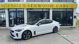 Kia Stinger 2019 photo 4